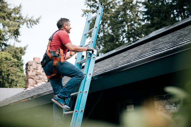 Best Chimney Flashing Repair  in Headland, AL
