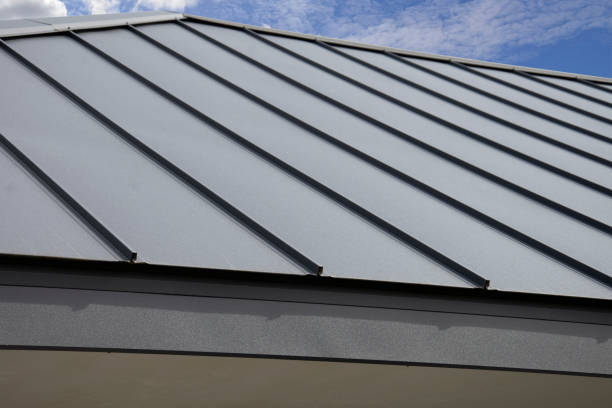 Best Roof Moss and Algae Removal  in Headland, AL